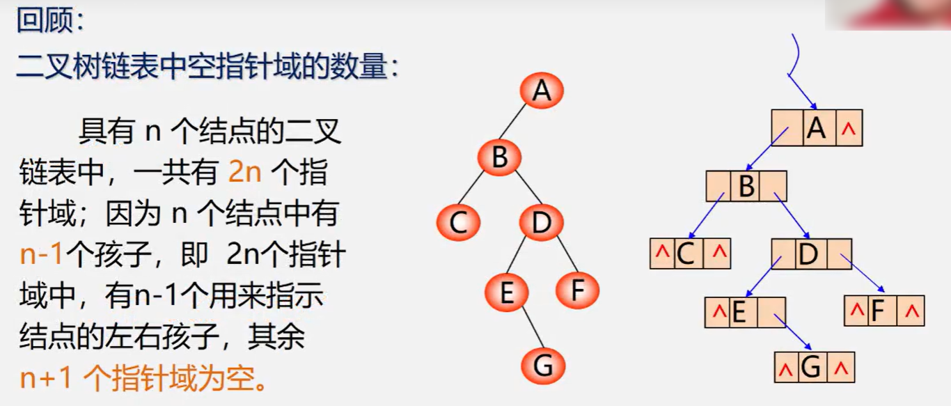 二叉链表中空指针域的数量